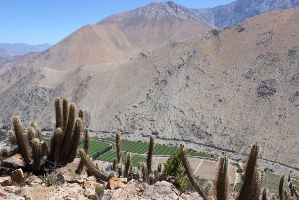 Valle del Elqui