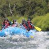 Rafting Trancura Bajo, Pucón