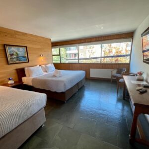 Bosque Encantado Pucón - Experiencia Mágica en el Sur de Chile