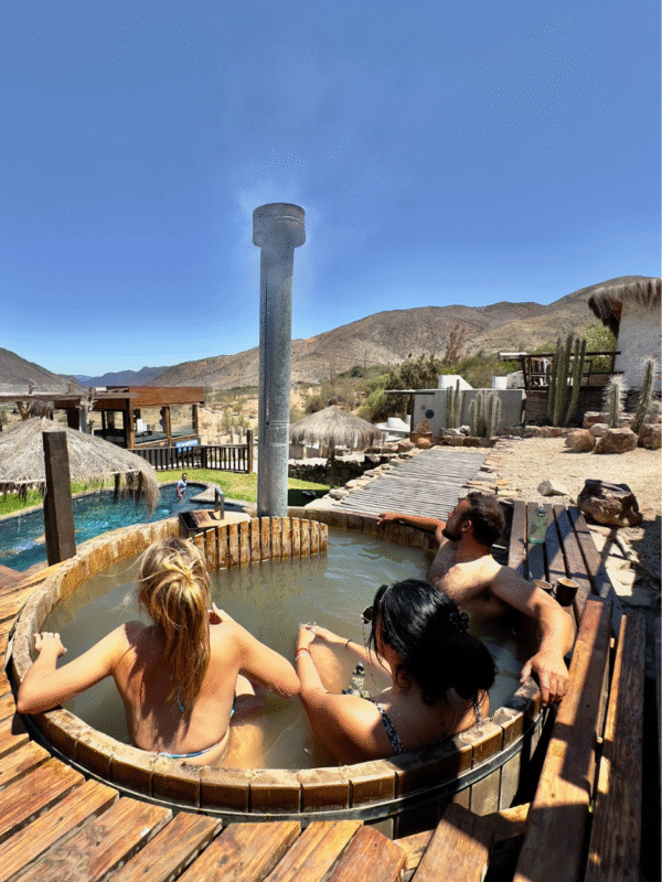 Tour "Brebajes y Estrellas" en Valle del Elqui
