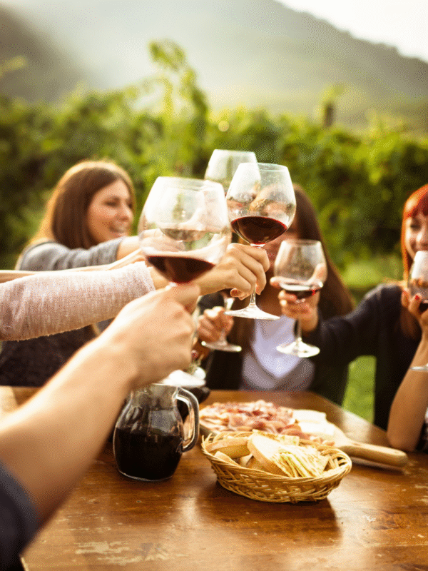 vinos2