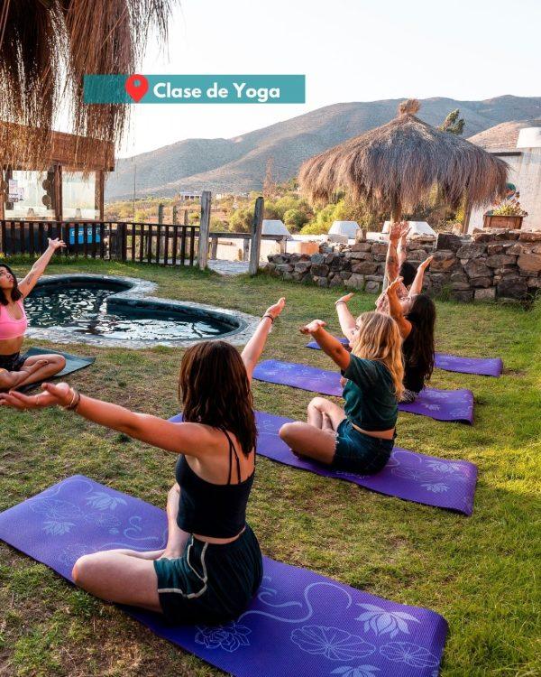 Tour de Yoga en Valle del Elqui