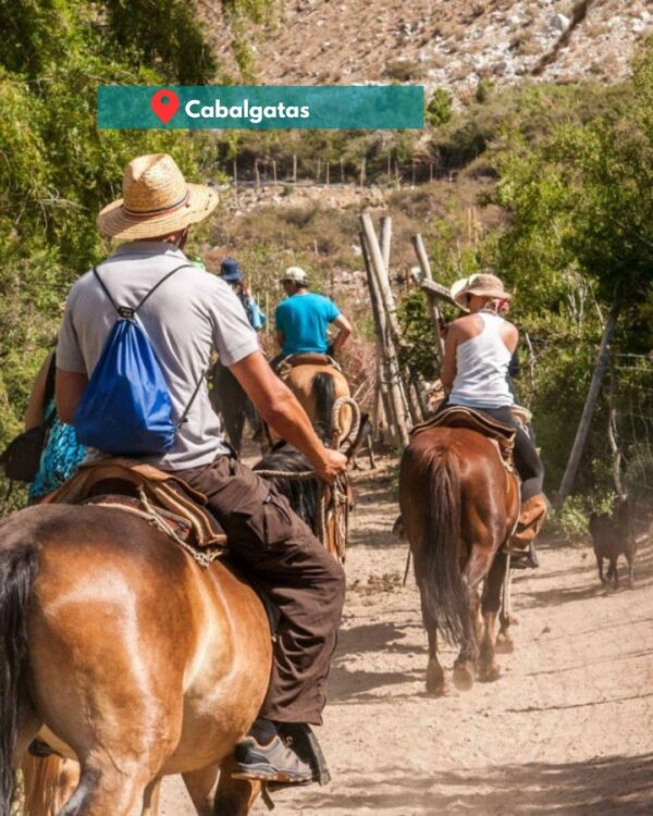 Tour "Brebajes y Estrellas" en Valle del Elqui