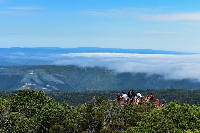 Parque Oncol de Valdivia es una reserva natural