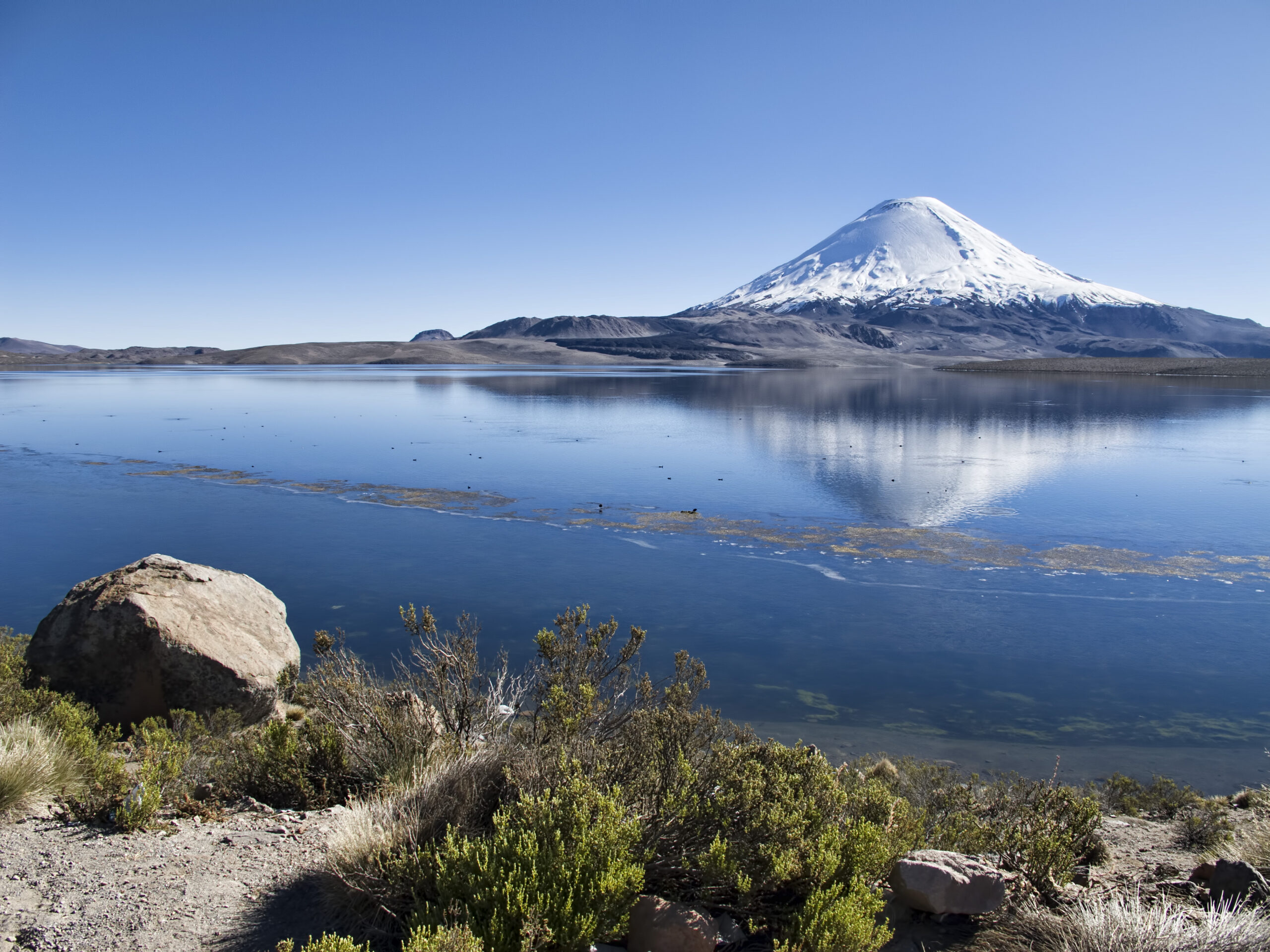 Lago Chungara de Arica

Attribution:
Dan Lundberg, CC BY-SA 2.0, via Wikimedia Commons