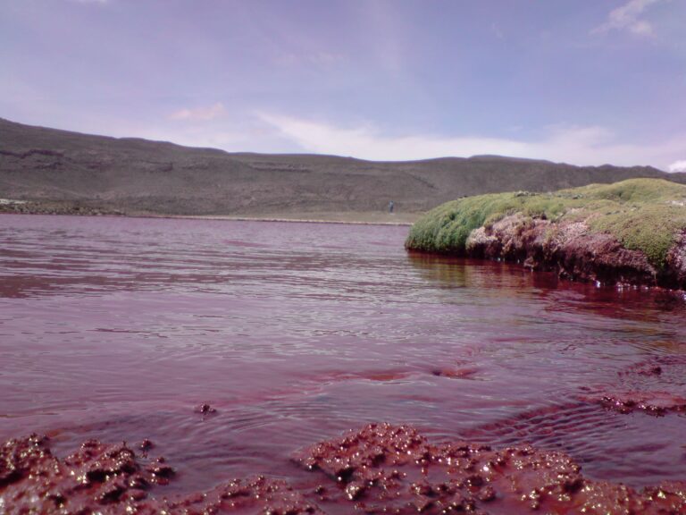 Laguna Roja en Arica Attribution: vladimir prieto, CC BY-SA 2.0, via Flickr