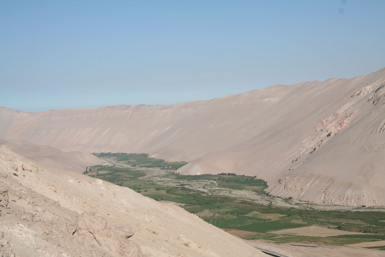 VAlle de Azapa de Arica

Attribution:
Alastair Rae from London, United Kingdom, CC BY-SA 2.0, via Wikimedia Commons