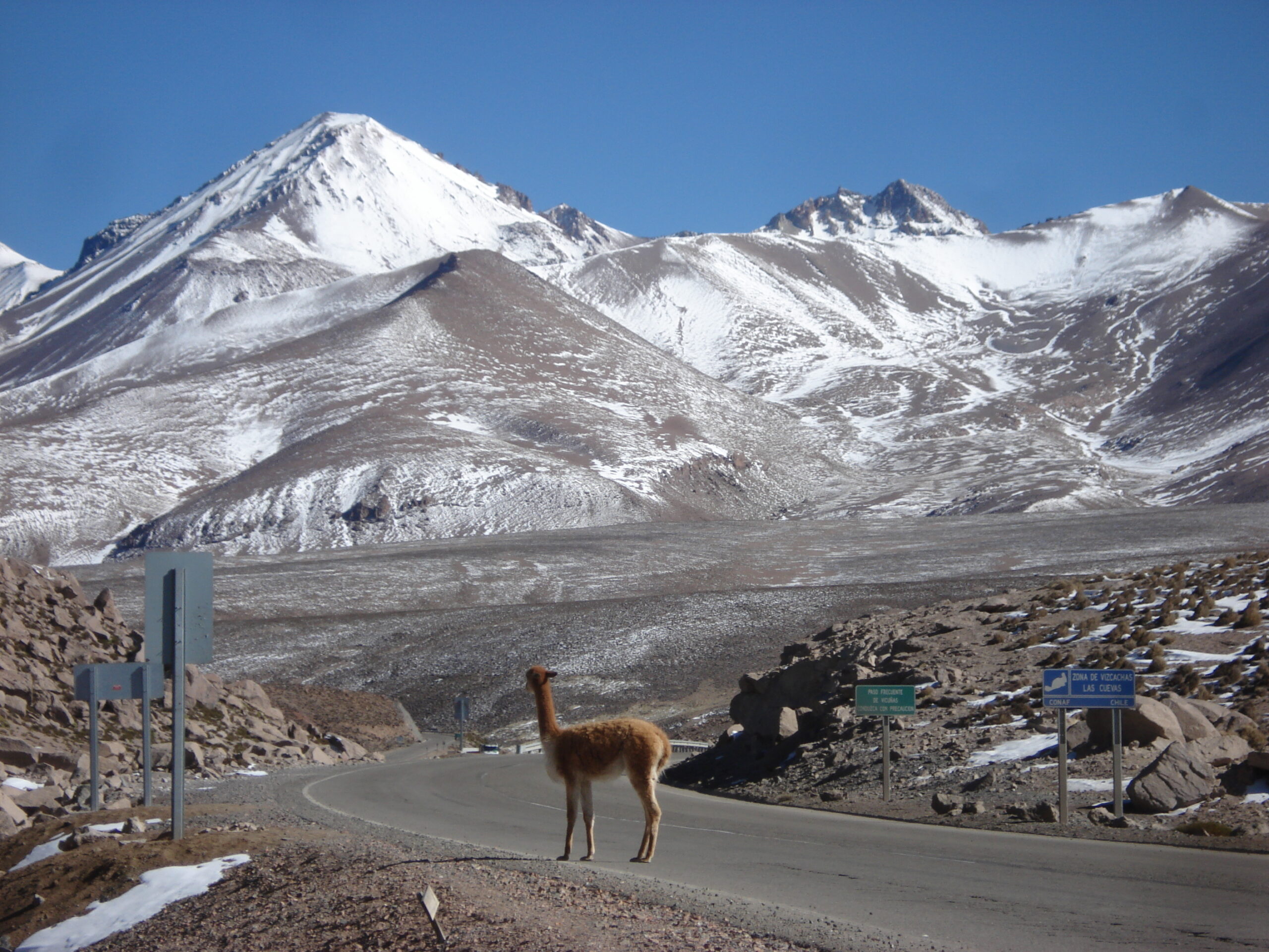 Parque Nacional Lauca

Attribution:
BlackNose, CC BY 3.0, via Wikimedia Commons