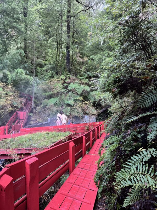 Tour Termas Geometricas desde valdivia