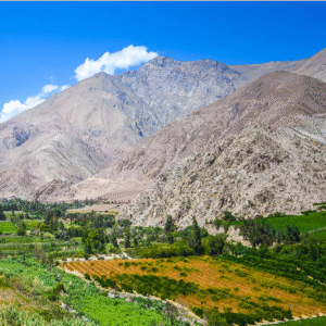 Tour Valle del Elqui desde La Serena