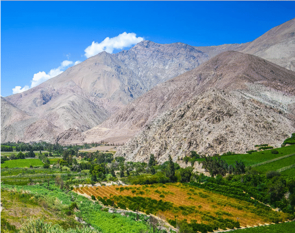 valle del elqui Tour Valle del Elqui desde La Serena